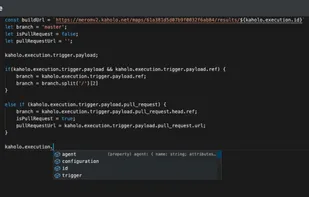 Built in SDK with IntelliSense