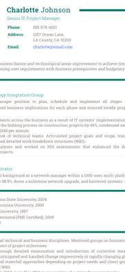 Resumonk screenshot 1