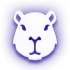 CapiBrowser icon