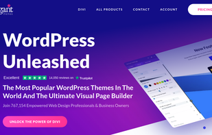 Elegant Themes screenshot 1
