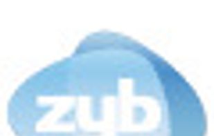 Zyb screenshot 1