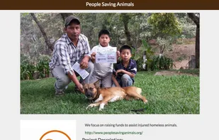 freeCodeCamp screenshot 1