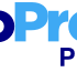 ProProfs Project icon
