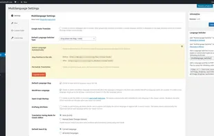 Multilanguage WordPress Plugin screenshot 2
