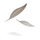 Chyrp icon