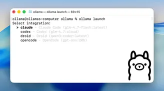 Ollama debuts 'ollama launch' to run coding tools with local or cloud models image