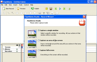 FlashDemo screen recorder