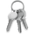Keychain Access icon