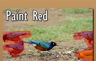 Easy Eraser screenshot 1