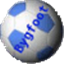 Bygfoot Football Manager icon
