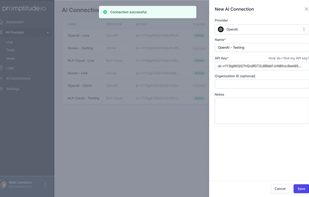 Paste your Provider API Key and create an AI connection to use Promptitude for requests.