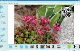Trove File Explorer screenshot 3