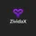 ZividaX icon