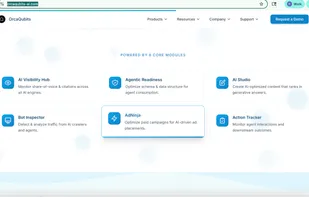 VibeAEO screenshot 1