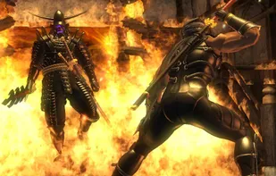 Ninja Gaiden screenshot 1