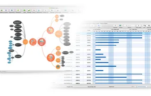 Open your mind map as project