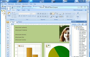 BI Studio Report Designer