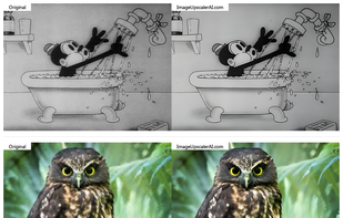 Image Upscaler AI screenshot 1