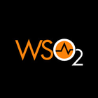 WSO2 API Manager icon