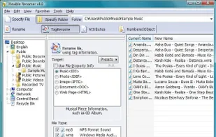 Flexible Renamer screenshot 1