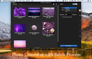 batch convert
