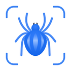 Picture Insect icon