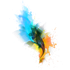 Bloom Image Viewer icon