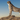 WP Fastest Cache Icon