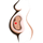 Gestational Age icon