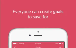 Roostermoney screenshot 2