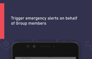 Lady Shield screenshot 3