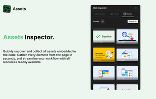 Assets Inspector