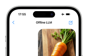 Offline LLM screenshot 2