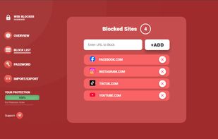 BLOCK LIST: COMMAND CENTER
Flexible control: block entire domains or specific pages — your choice.
Password protection for removal — your impulse to "just quickly check" hits a wall.