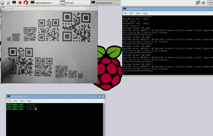 Dynamsoft Barcode Reader screenshot 2
