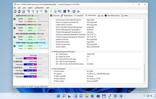 Detailed disk characteristics