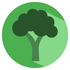 Broccoli Recipe app icon