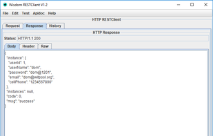 rest-client screenshot 1