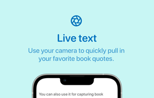 Quick Capture screenshot 1