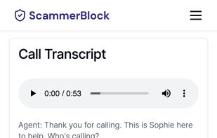 Call transcripts
