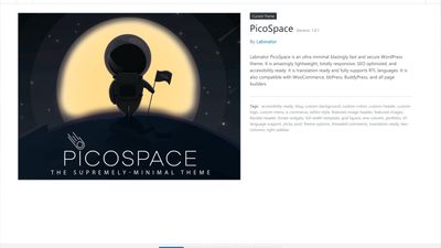 A screenshot of the theme info and details after installing and activating the PicoSpace theme.