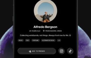 Festiveo screenshot 1