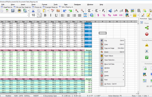 SSuite Accel Spreadsheet screenshot 1