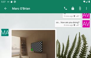 Light Theme (with Background)