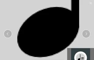 Raster image zoom-in.