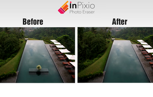 Pool of water and plant