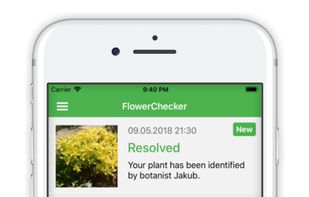 FlowerChecker screenshot 1