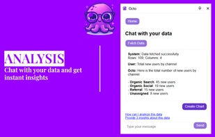 Octo AI screenshot 1