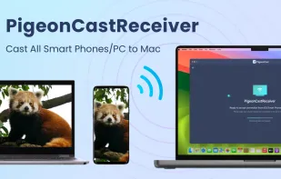 PigeonCast - TV Cast & Mirror screenshot 1