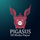 Pigasus VR Media Player icon